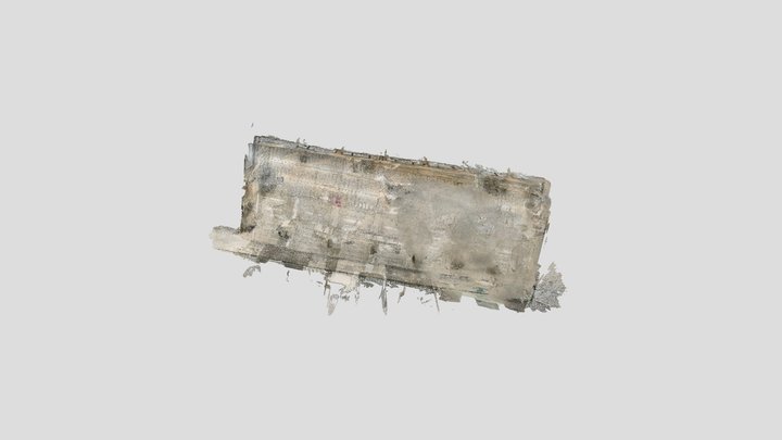 Point Cloud 800k 2 3D Model