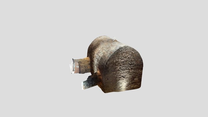 Untitled Scan 3D Model