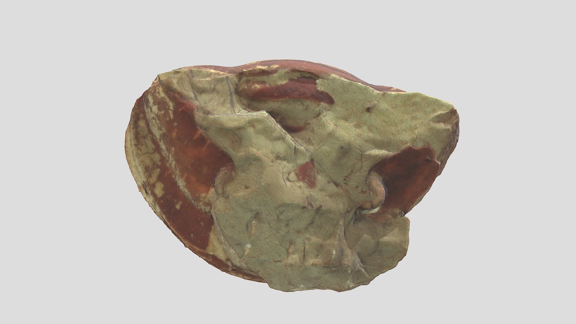 Mystery trilobite