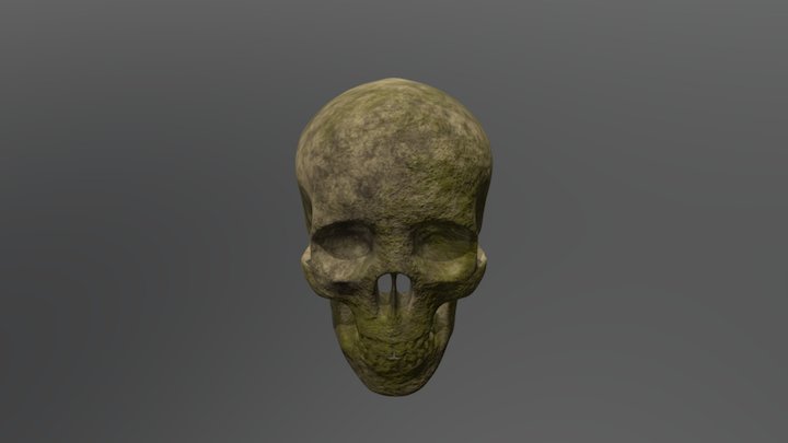 Moss Covered Skull - High Polygon 3D Model