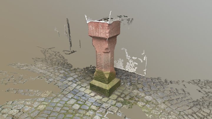 Stütze Burg Pfalzgrafenstein - Pointcloud 3D Model