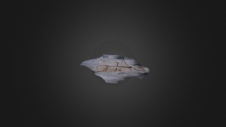 Excavation Units - Corral  3D Model