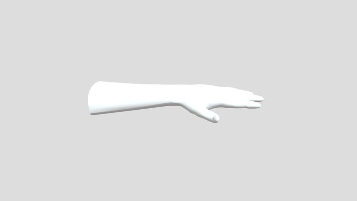 Hand OBJ 3D Model