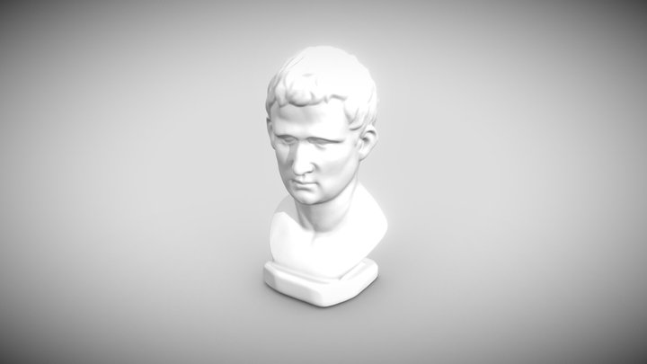 Bust Test 3D Model