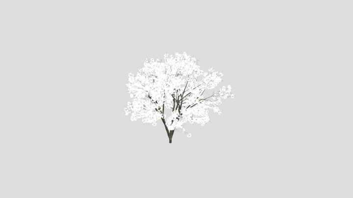 Sakura Japanese Cherry Blossom Tree – Kostenloses 3D-Modell STL