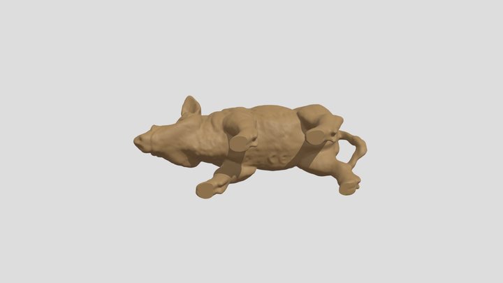 boar 3D Model