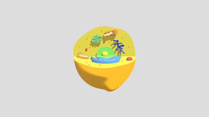cell 3D Model