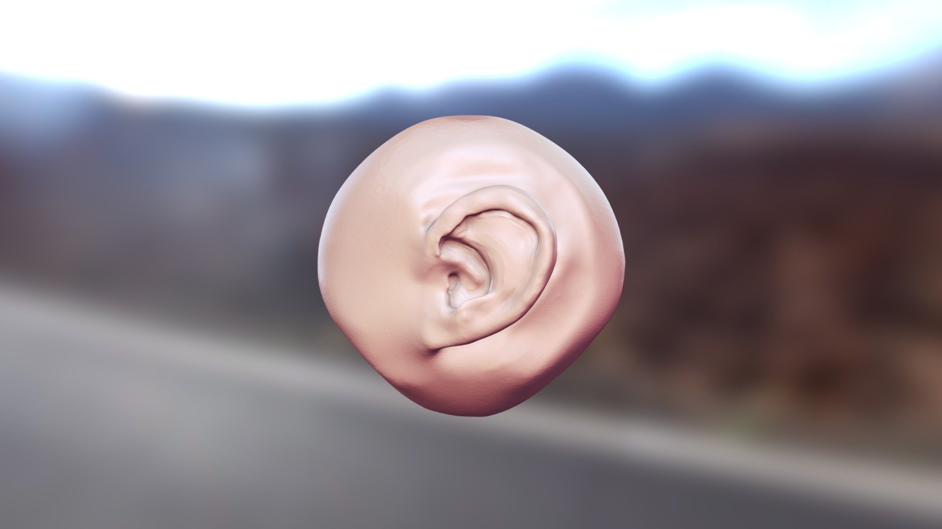 Ear