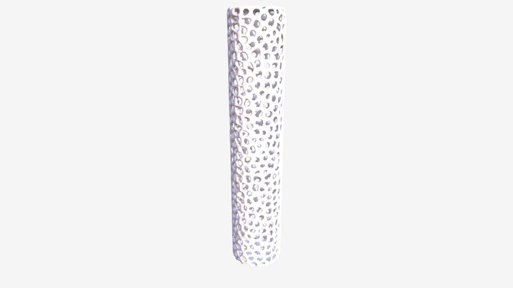 Voronator Cylinder 3D Model