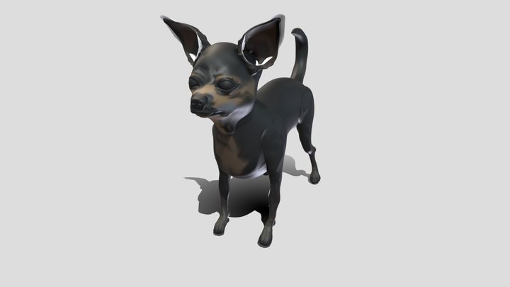 Chihuahua, Chiwawa, Dog, Nomad Sculpt, Basemesh 3D Model