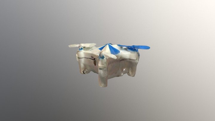 New Qlone 3D Model