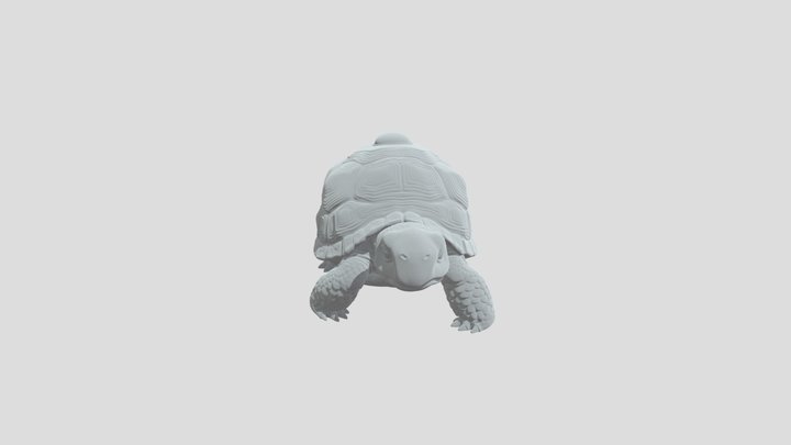 Mosaic Turtle 3D Model
