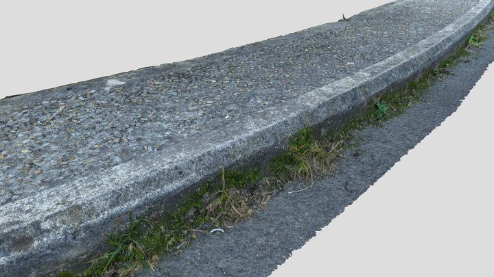 pebble pavement with weeds 3D Model