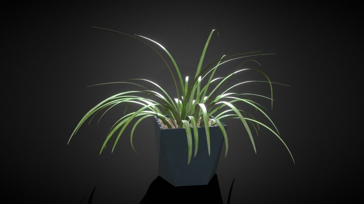 Plant and Pot 3D Model