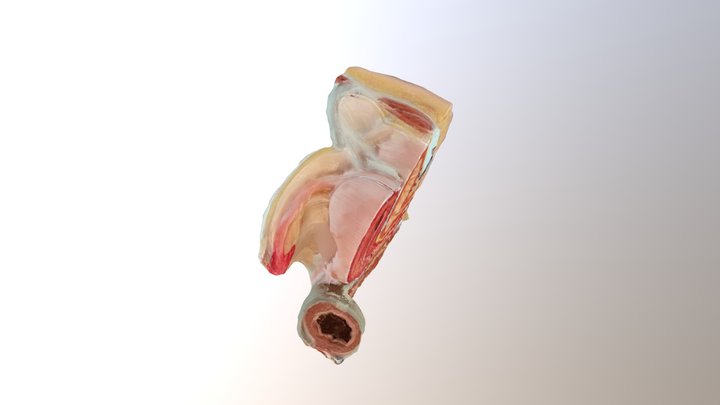 Test 7th 3D Model