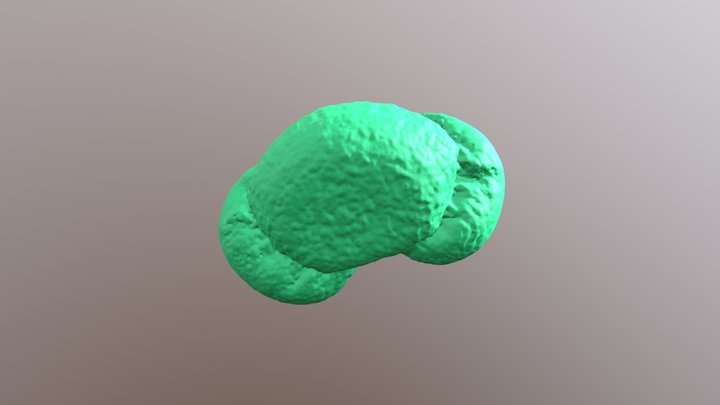Pine pollen 3D Model