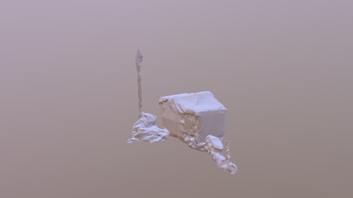 Homeless1 3D Model
