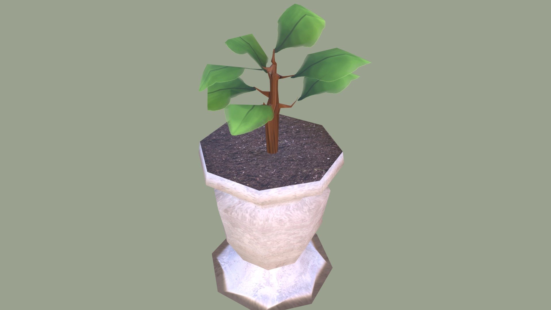 Plant 01