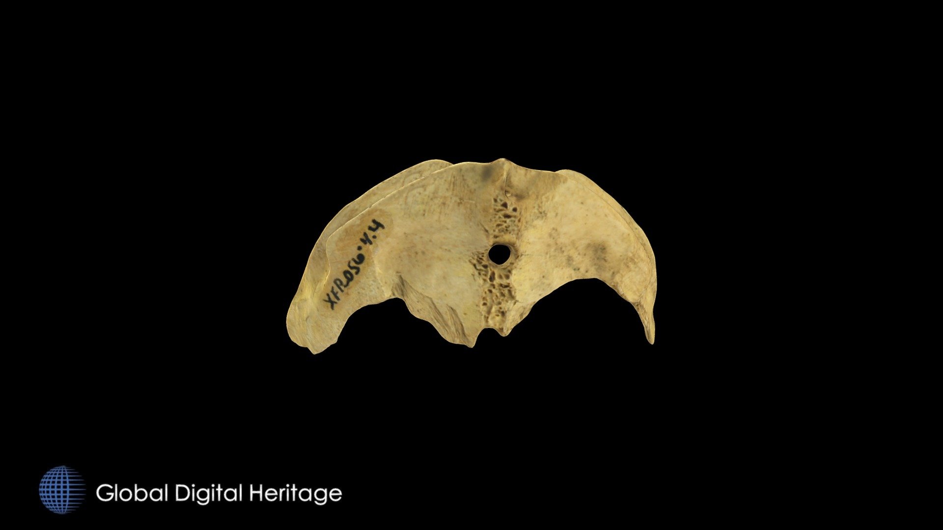 XFP-056 Bird Sternum Amulet, Sanak Island, Ak.