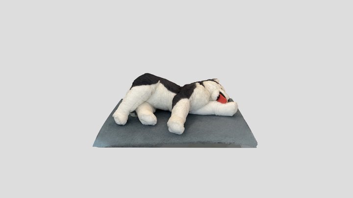 Husky Plush 3D Model
