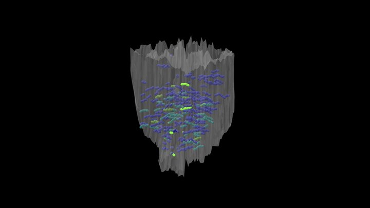 Parent Polyp #6 Caryophyllia huinayensis – Kostenloses 3D-Modell STL