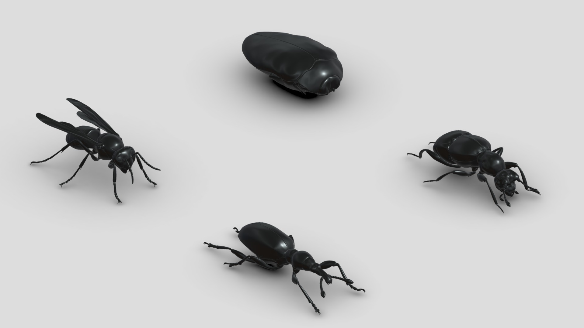 3D model Insects&beetles-pack1 - This is a 3D model of the Insects&beetles-pack1. The 3D model is about a couple of black ants.