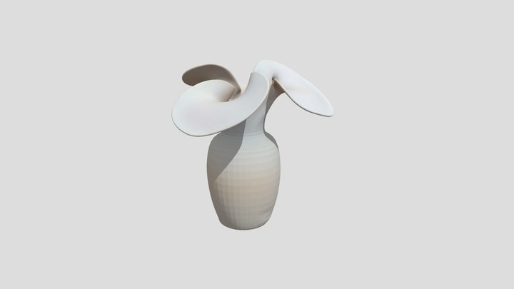 蝴蝶兰 3D Model