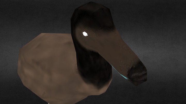Low Poly Dodo