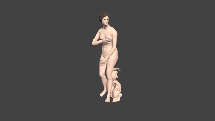 Venus_ Reconstruction 3D Model