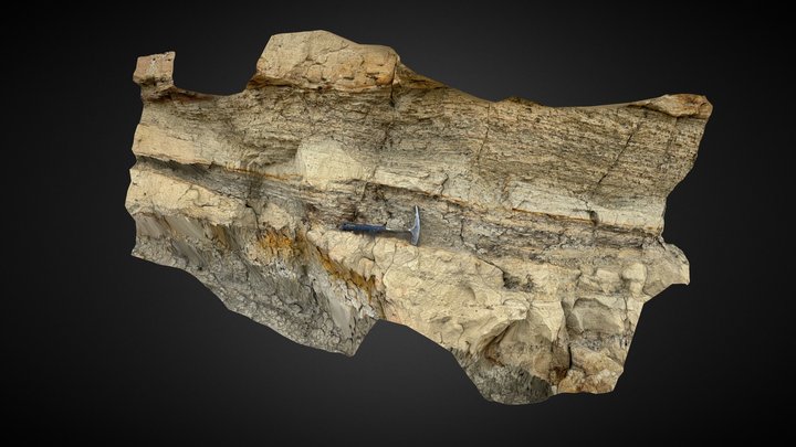 Cross-bedding and rip up clasts 3D Model