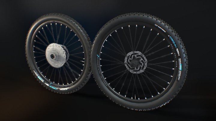 MTB wheels 3D Model