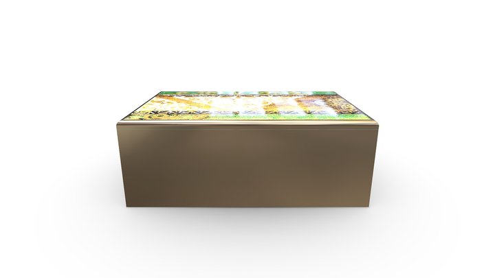 Box with no Ribbon 3D Model