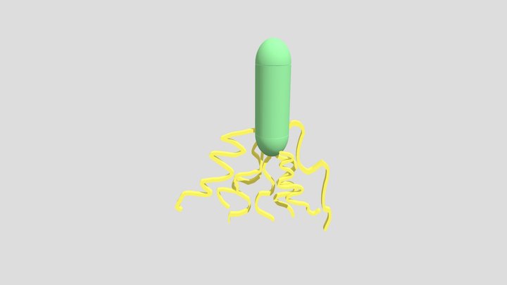 microughs_Bacillus thuringiensis_JL/JM/SC 3D Model