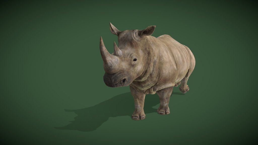 Animated 3D Grey Rhino Running Loop