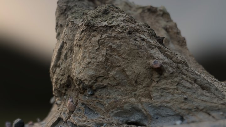 Sandy cliff rock on Rügen coast / RealityScan 3D Model