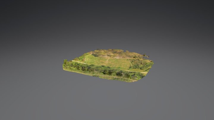 Hobb's State Park Ozark chinquapin 3D Model