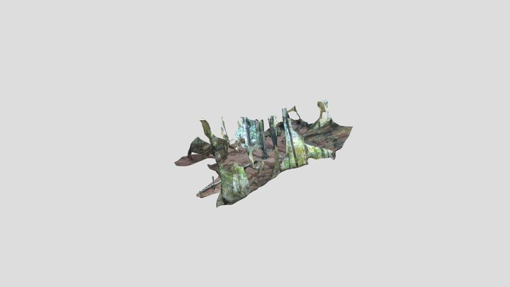 The family trees 3D Model