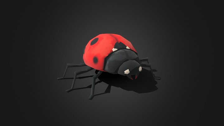 LadyBug 3D Model
