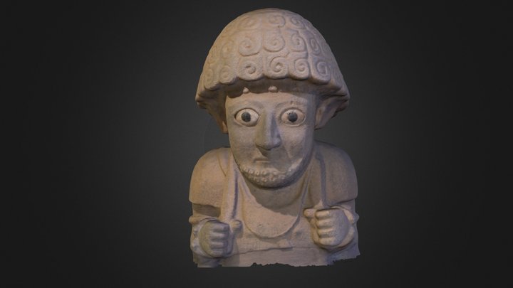 Shup 3D Model