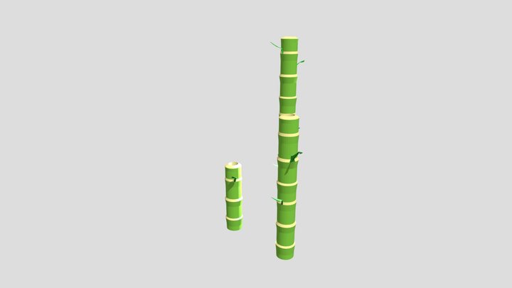 Bamboo Sprig Model 3D Model