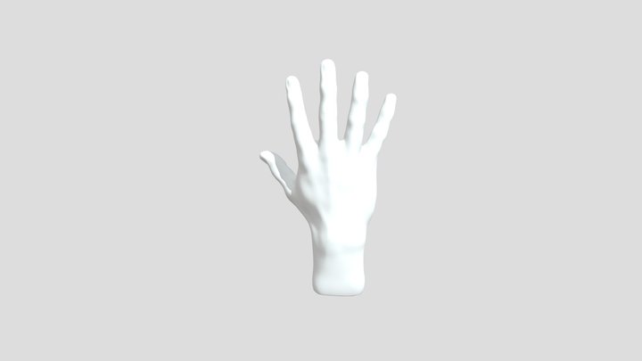 Hand 3D Model