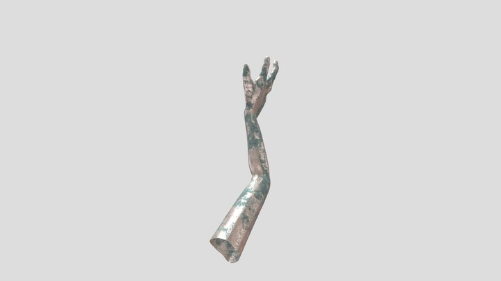 Right arm grasp 3D Model