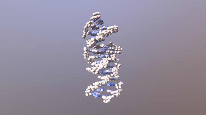 ADN-H 3D Model