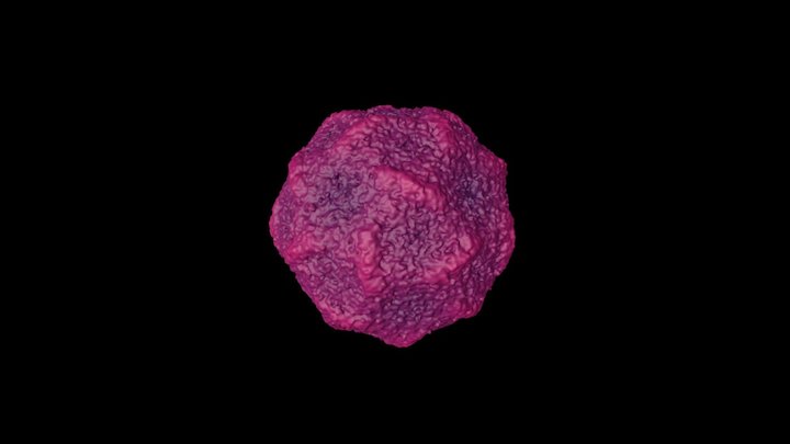 Zika Nucleocapsid 3D Model