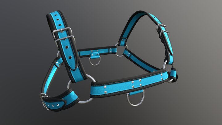 Realistic harness made for VRC 3D Model