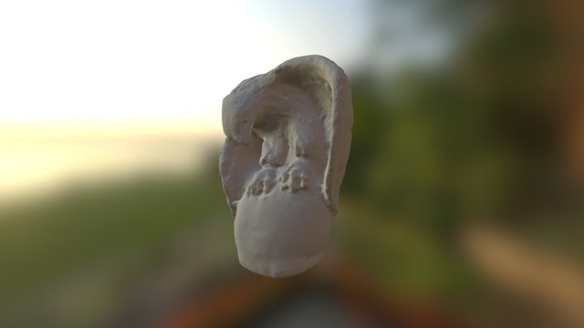 Bird 3D Model