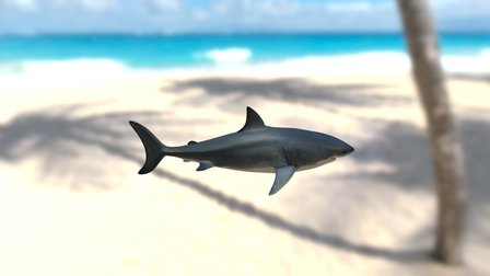 Great White Shark 3D Model