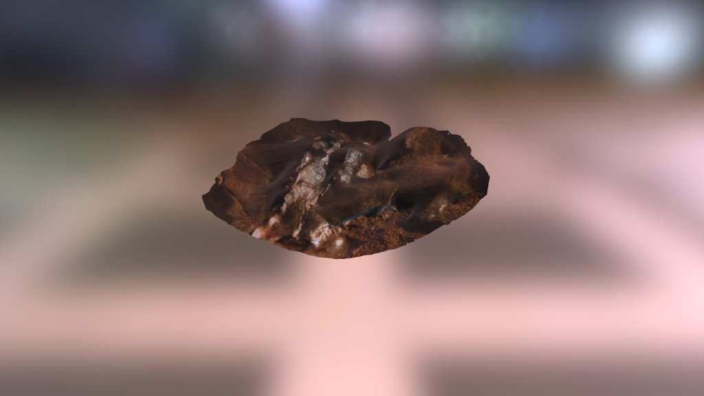A TRNIO Model