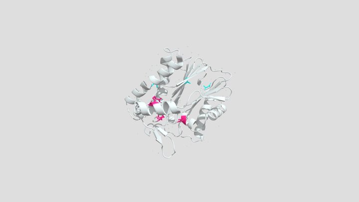 Initial target 2: Protein phosphatase 1K 3D Model