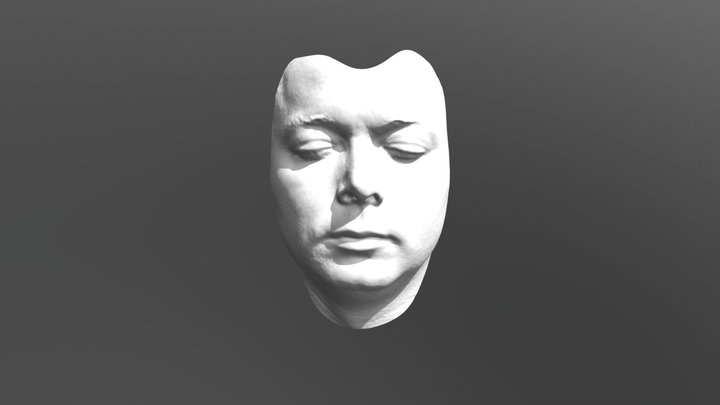 Human Face Scanning 3D Model